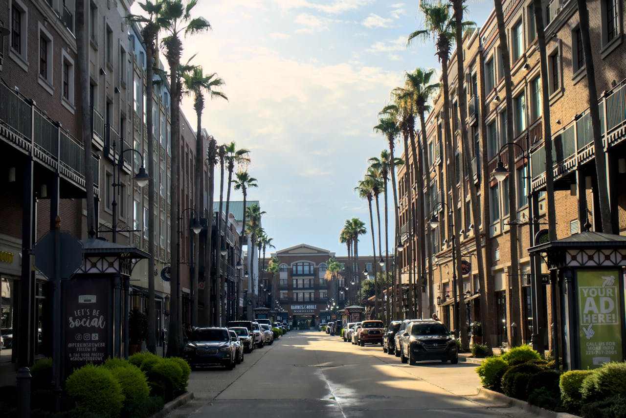 Charming urban street in Baton Rouge with palm trees and classic architecture under a bright sky.